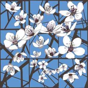 Cherry Blossoms - Carolina Blue