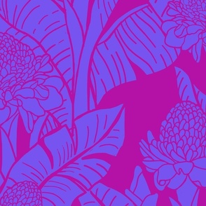 jumbo-Hawaiian Torch Ginger Jungle-blue violet on fuscia