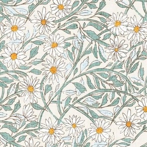 Paper Daisy (cream) MED 