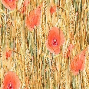 Warm Poppy Grass Medium