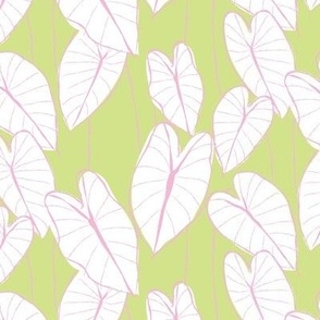 SMALL poi-fect elephant ear leaf_ honeydew green and pink