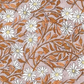 Paper daisy (rust) MED 