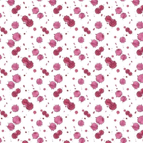 Wine stains on white background