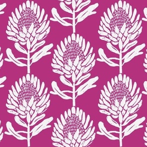 Protea_In Bloom Purple and white copy