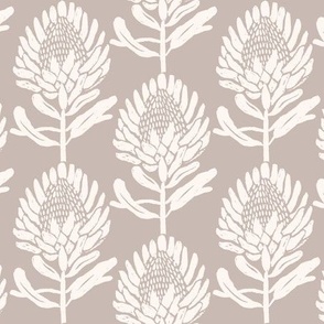Protea_In Bloom Beige and ivory
