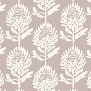 Protea_In Bloom Beige and ivory_Small scale Tiny