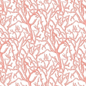 Coral Branches Pink and White