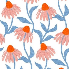 coneflowers - Echinacea - blue/pink/orange - LAD22