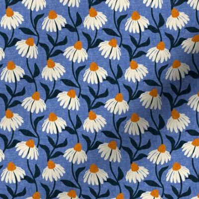 (small scale) white swan coneflowers - Echinacea - blue - LAD22