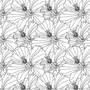 Hibiscus Flower Pattern outlines, black and white