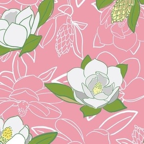 Southern magnolias on pink background