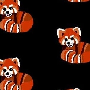 Red  panda print on black  