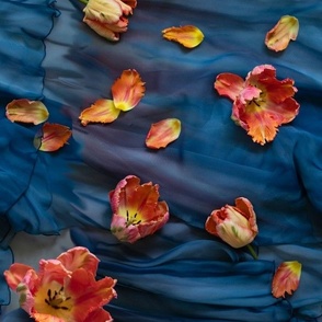 Large Size of Apricot Parrot Tulips on Blue Silk