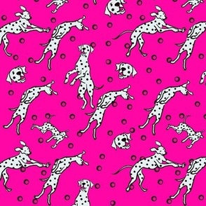 Dalmatian dogs dancing / fuchsia pink background 