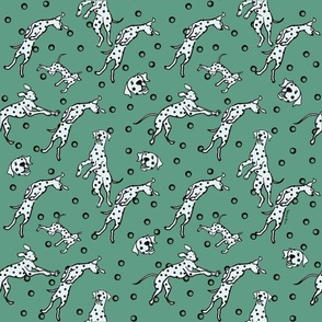 Dalmatian dogs dancing / green background 