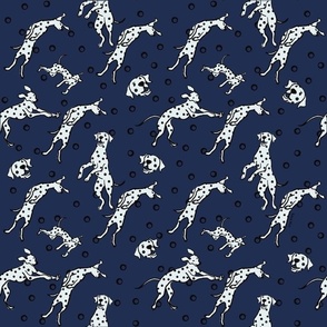 Dancing Dalmatian dogs / navy blue background