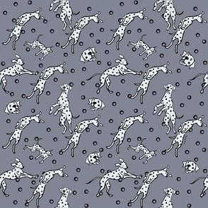 Dancing Dalmatian dogs /gray background