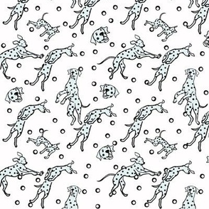 Dancing Dalmatian dogs / white background