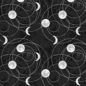 Moon Cycles - Black and White