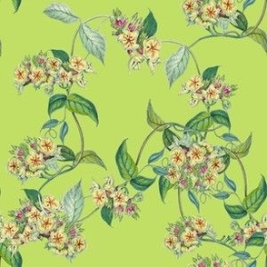 BLOOMING VINE - VIVID VINE COLLECTION (GREEN)