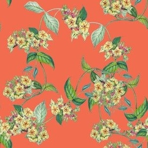 BLOOMING VINE - VIVID VINE COLLECTION (ORANGE)