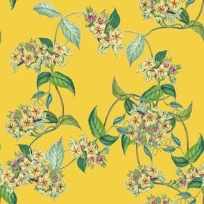 BLOOMING VINE - VIVID VINE COLLECTION (YELLOW)