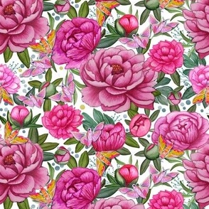 Peony pink watercolor floral on white 