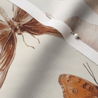 Boho Brown Butterflies-12x11.9 JUMBO