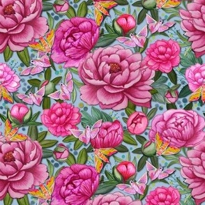 Pink Peony watercolor floral on sky blue  , created to coordinate with Spoonflower petal solids.  botanical 