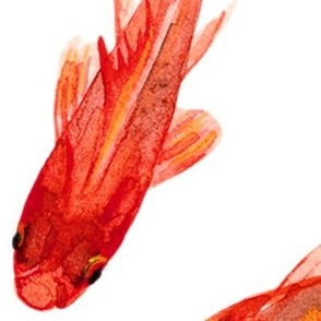 Really Big Goldfish - cusom red
