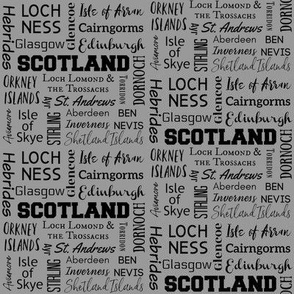 Scotland  Cities - gray,  small (4 inch repeat)