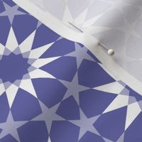 13093446 : UC5E4 : spoonflower0633