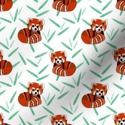 Joyful red panda jungle  (small)