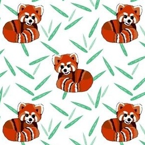 Joyful red panda jungle  (small)