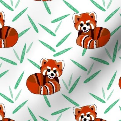 Joyful red panda jungle (medium) 