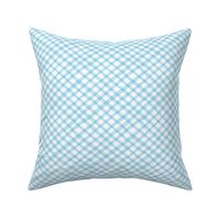 Bias Irregular Gingham baby blue