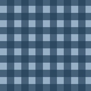 Small Blue Gingham