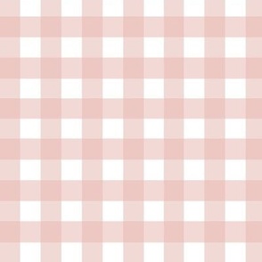Small Peach/Pink Gingham 