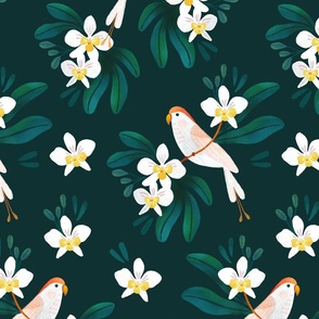 Parakeet and orchids in dark green