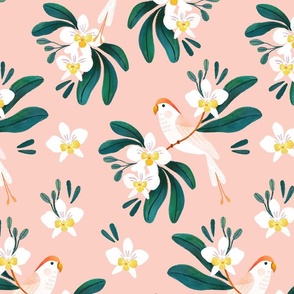 Parakeet and orchid in peach