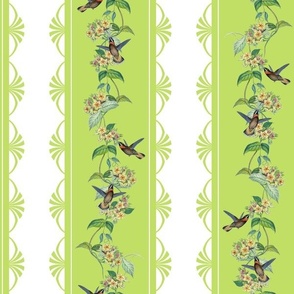 HUMMINGBIRD VINE STRIPE - VIVID VINE COLLECTION (GREEN)