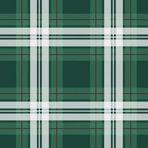 Green and Red Plaid Medium