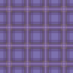 Purple and Yellow Plaid Small