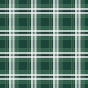 Green and Red Plaid Small