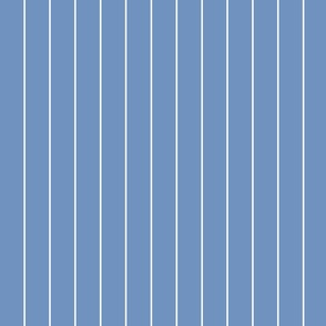White Pinstripe on Blue