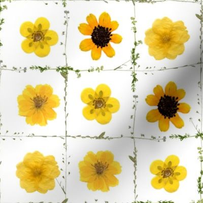 10" wild check yellow wildflowers flowers jigsaw puzzle - dried wildflowers - pressed wildflowers - 