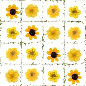 10" wild check yellow wildflowers flowers jigsaw puzzle - dried wildflowers - pressed wildflowers - 