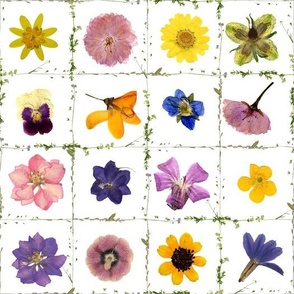 10" wild check flowers jigsaw puzzle - dried wildflowers - pressed wildflowers - pressed blossoms