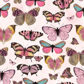 10" Pink Antique Butterflies - light pink watercolor background