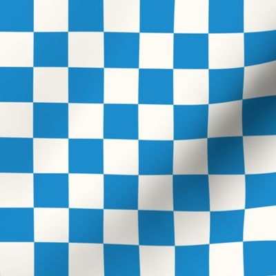 small blue checkerboard